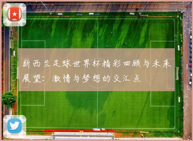 新西兰足球世界杯精彩回顾与未来展望：激情与梦想的交汇点