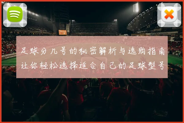 足球分几号的秘密解析与选购指南让你轻松选择适合自己的足球型号